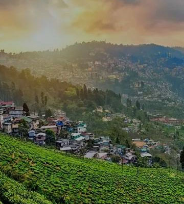 Kashi-Tour-And-Travels-Audi-A6